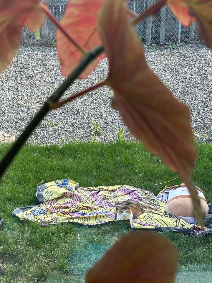 I want to be a bug in the grass